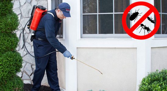 Çekerek Gümüşkurt İlaçlama böcek ilaçlama ve haşere kontrolü — ilaclama-tr.com